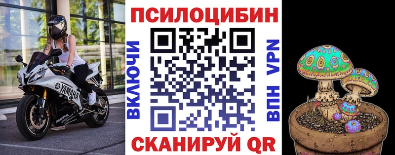 Псилоцибиновые грибы Cubensis Новозыбков