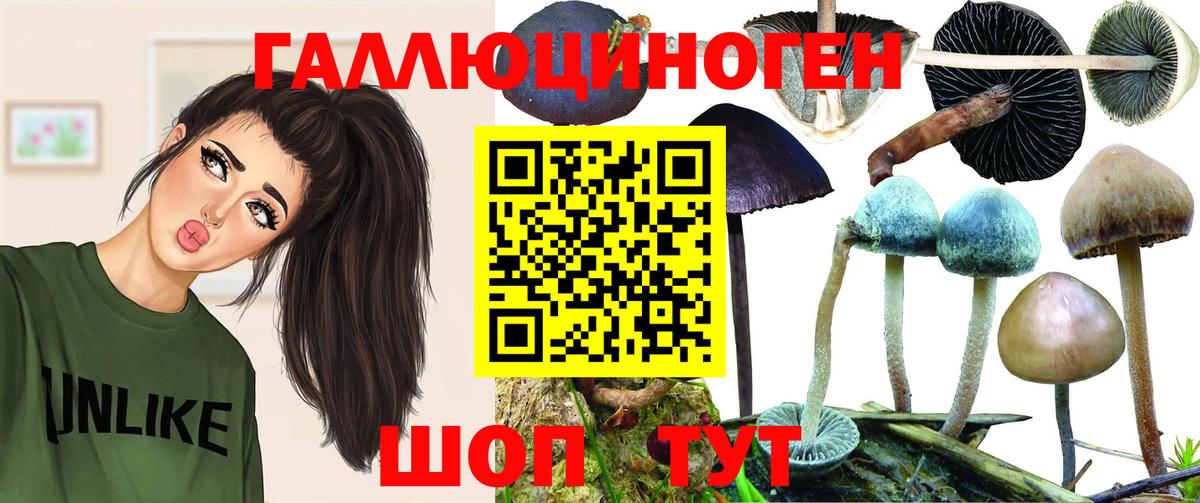 Псилоцибиновые грибы прущие грибы  Вход с VPN  Новозыбков  Галлюциногенные грибы мицелий 